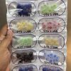 earphone buds